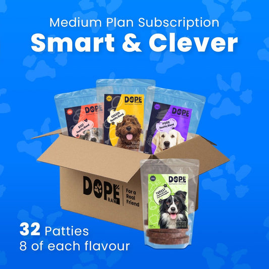 Smart & Clever | Medium Plan Subscription