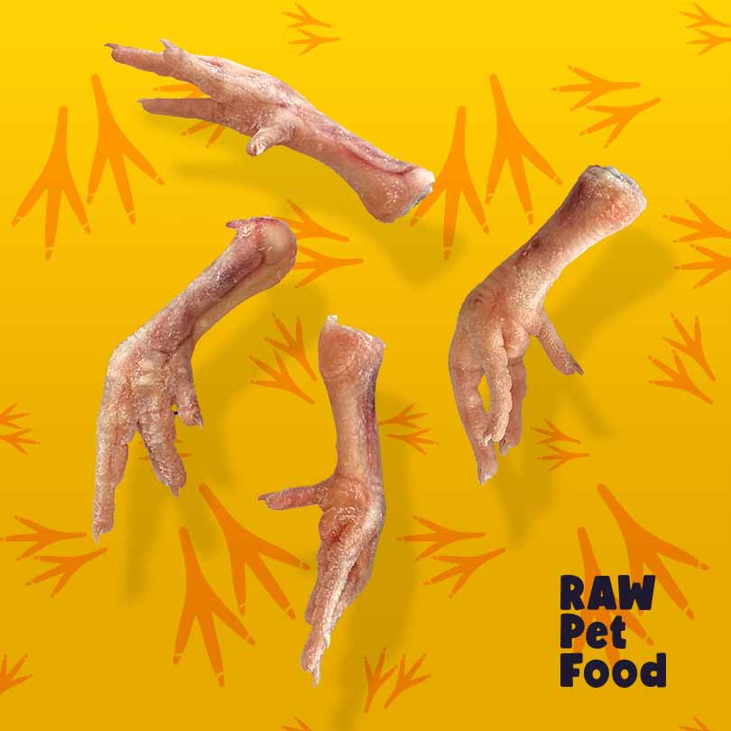 Frozen Raw Chicken Feet | Pure, Nutritious Goodness