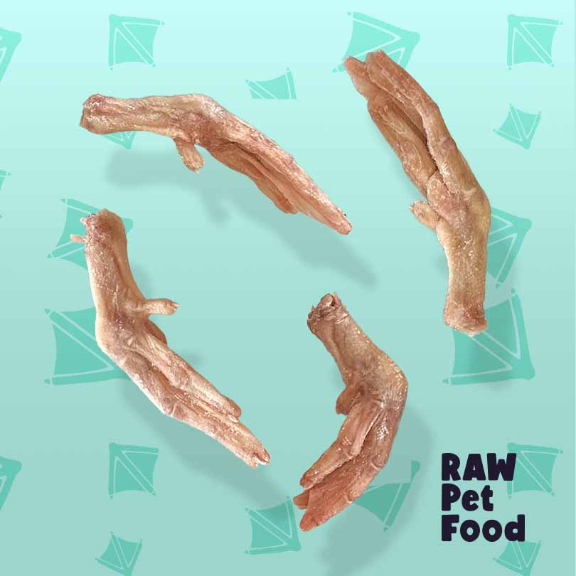 Frozen Raw Duck Feet | Natural Nutrition in Every Bite