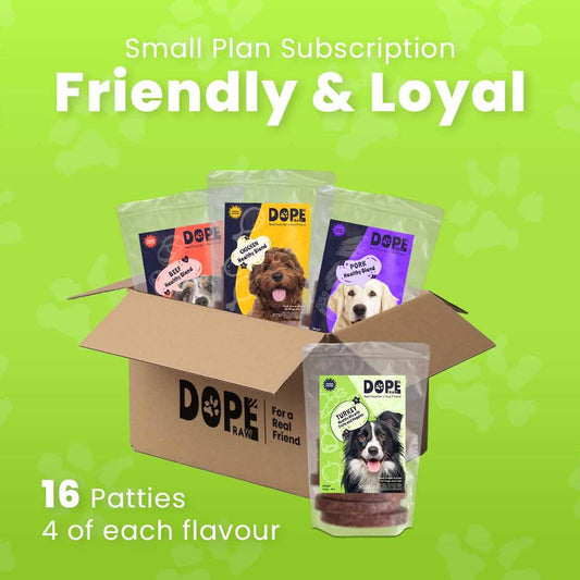 Friendly & Loyal | Small Plan Subscription